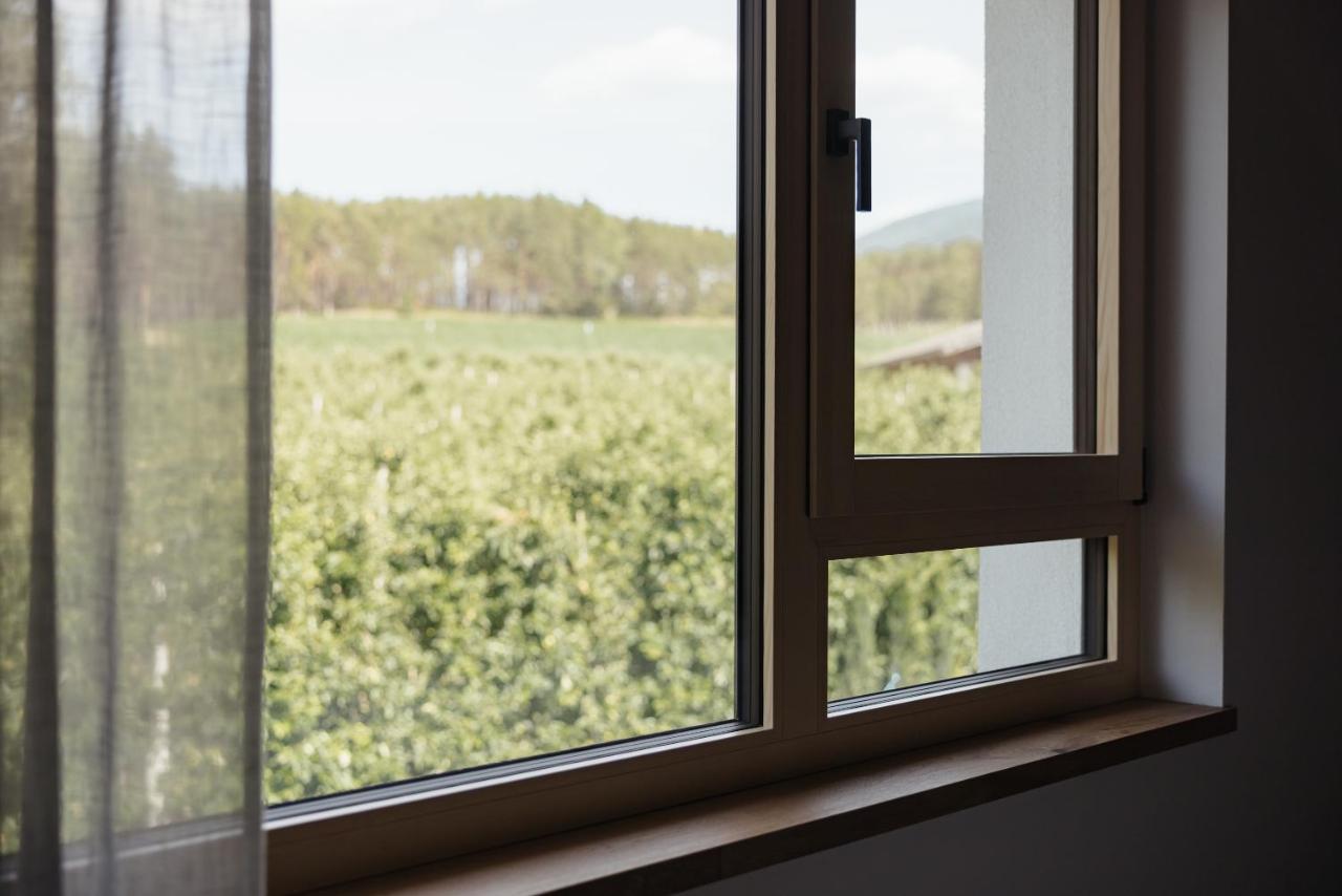 Appartamento Plattnerhof Viums Natz-Schabs Esterno foto